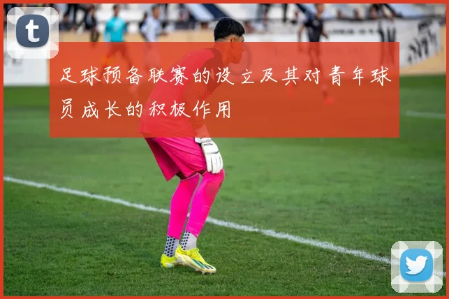 足球预备联赛的设立及其对青年球员成长的积极作用